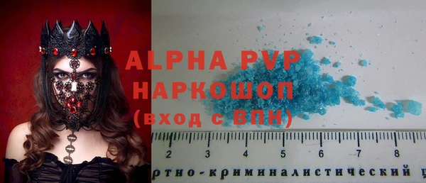 гашик Баксан