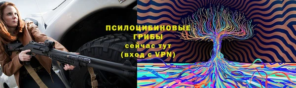винт Сатка